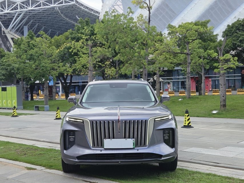红旗 2022款 E-HS9 690km 旗享版6座
