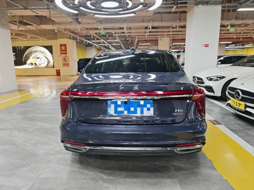 Hongqi H5 2024 2.0T Smart Flagship