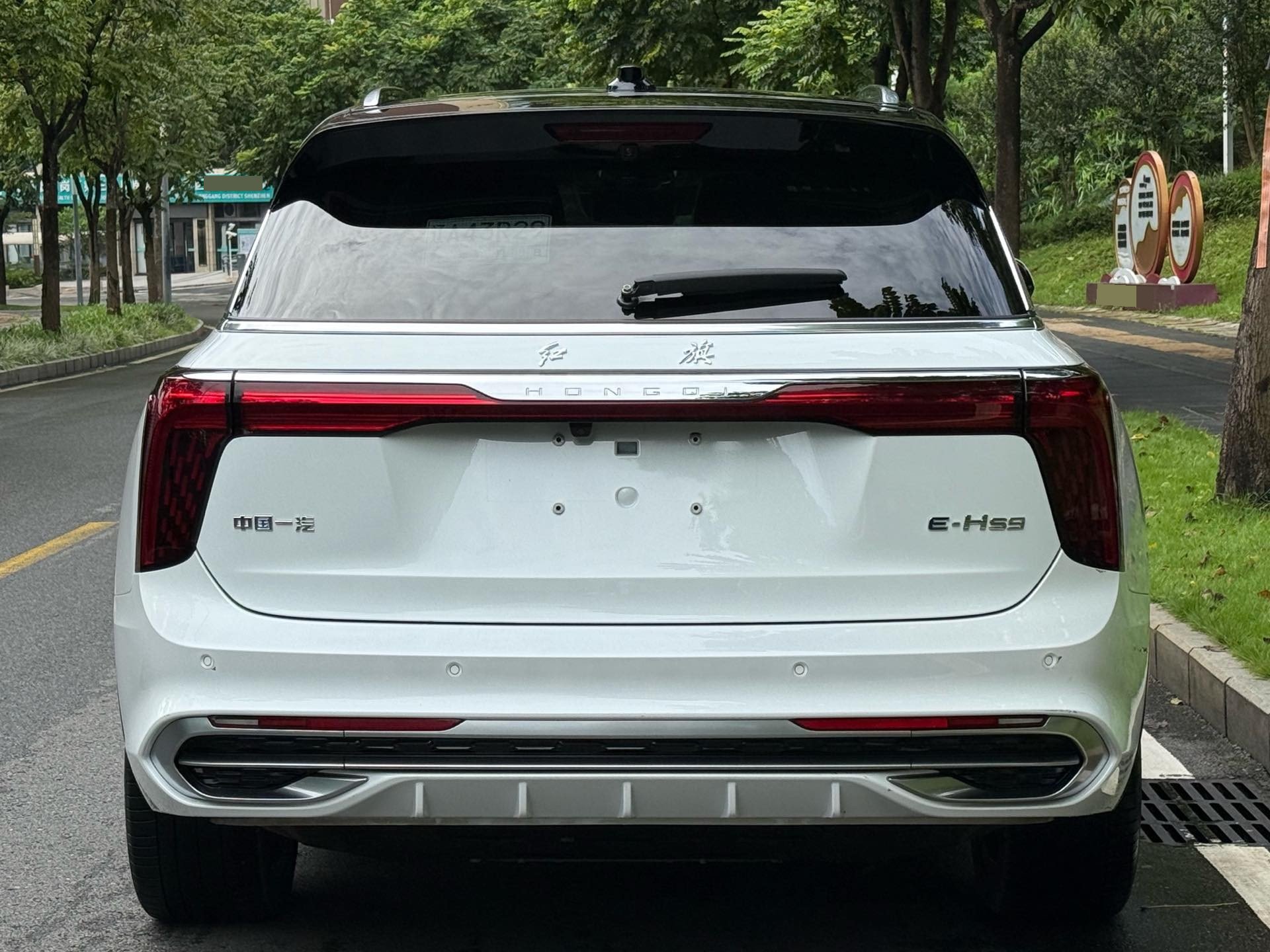 红旗 2021款 E-HS9 旗·畅6座