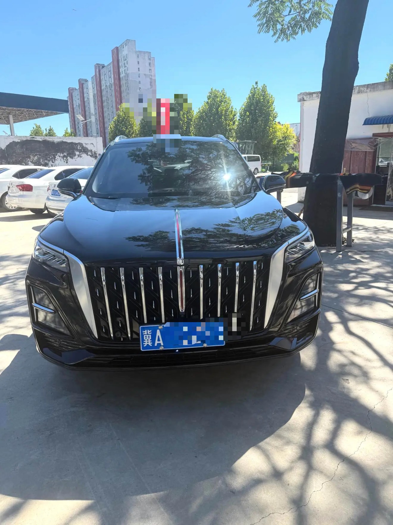 Hongqi HS5 2023 2.0T Flagship Pro