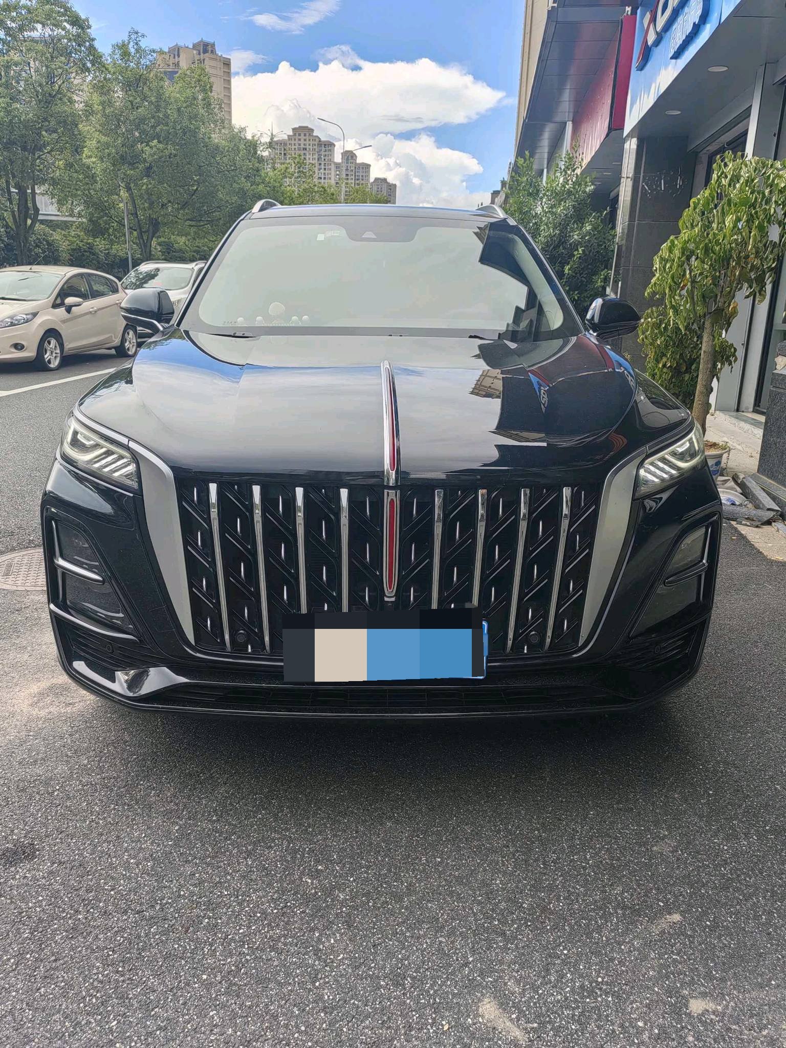 Hongqi HS5 2023 2.0T 4WD Qixiang Pro