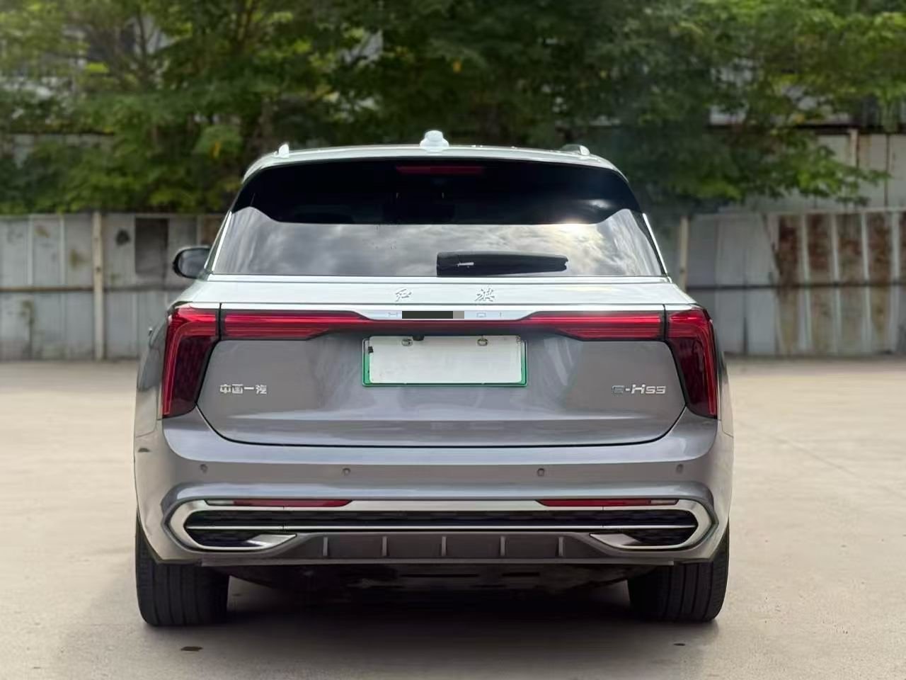Hongqi E-HS9 2022 660km Flagship 4-Seater