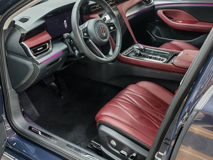 Hongqi H5 2024 2.0T Smart Flagship