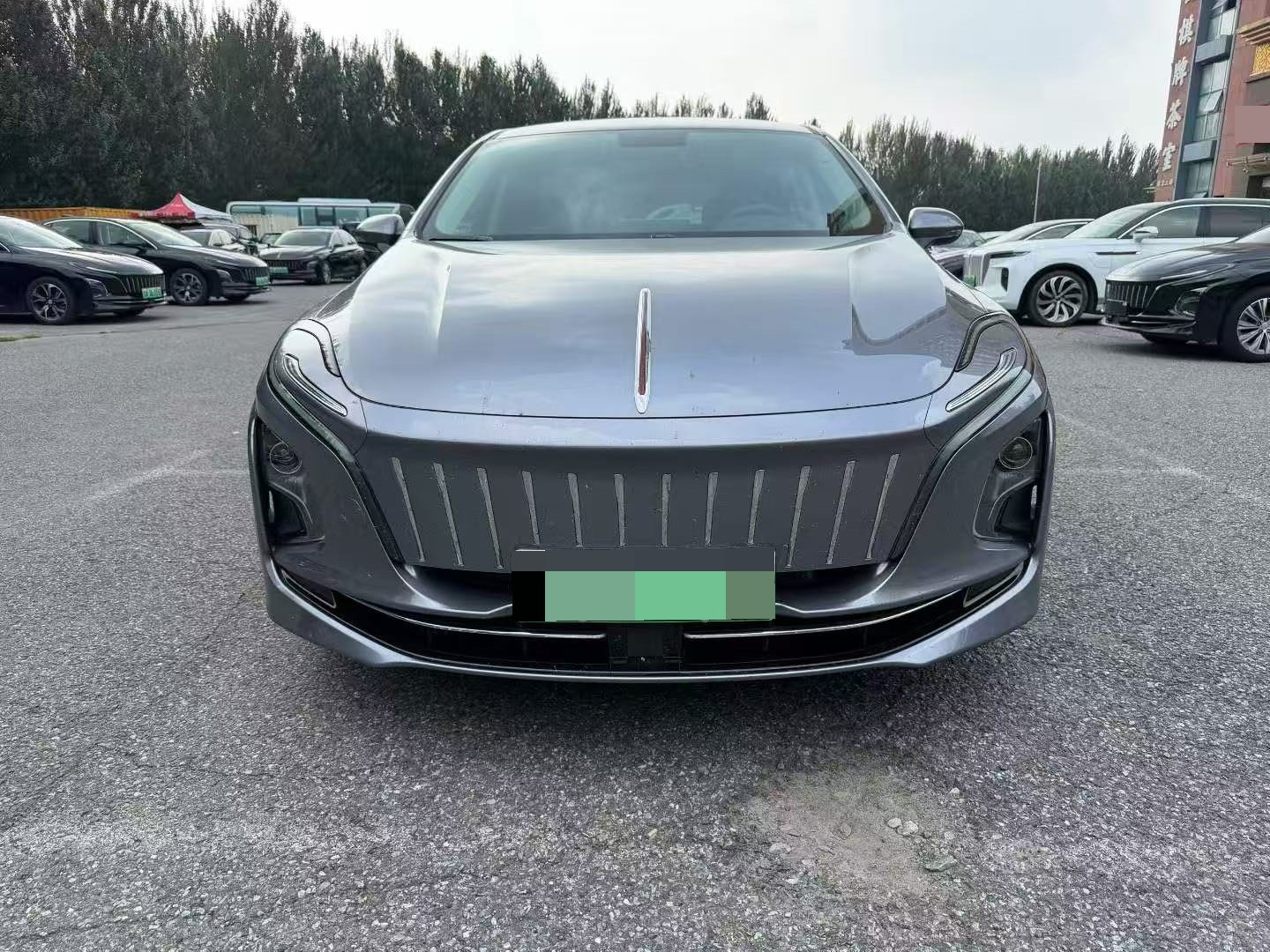 Hongqi E-QM5 2023 Facelift Base Mobility