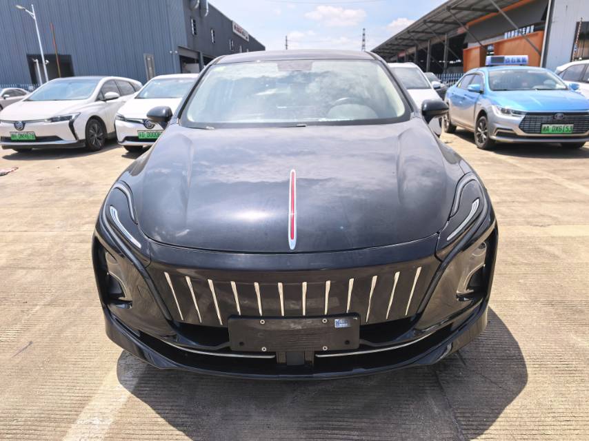Hongqi E-QM5 2021 Charging Qixiang Edition