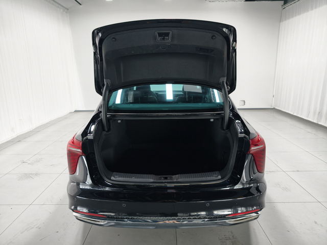Hongqi H5 2024 2.0T Smart Connect Qi Chang Edition
