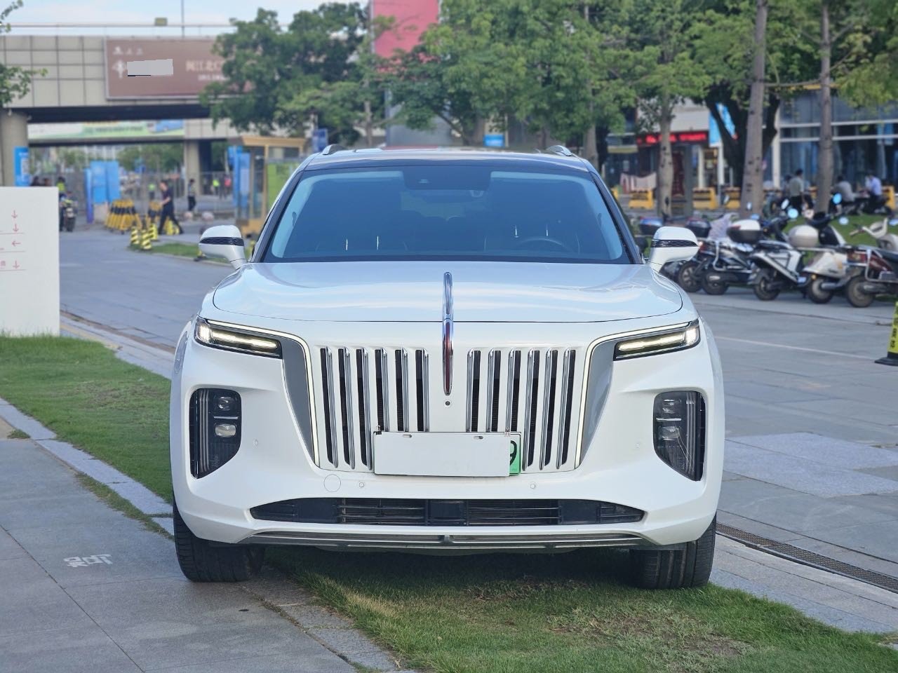红旗 2022款 E-HS9 690km 旗享版6座