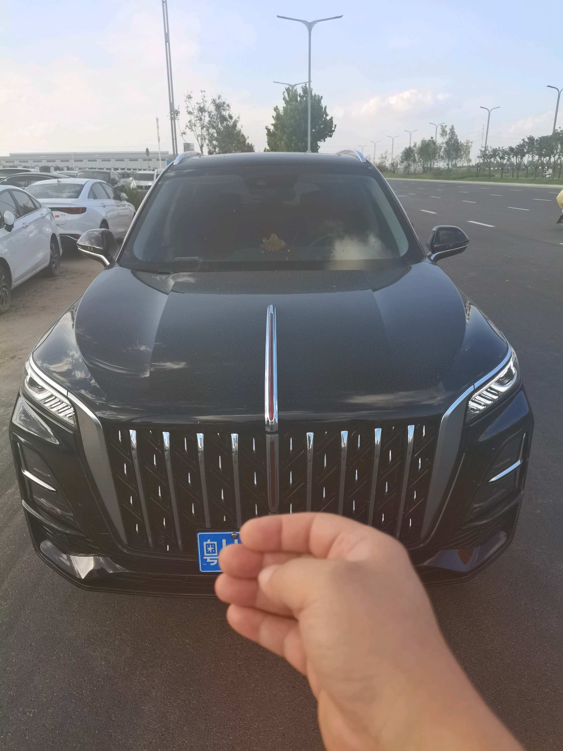 红旗 2023款 HS5 2.0T 旗享Pro版