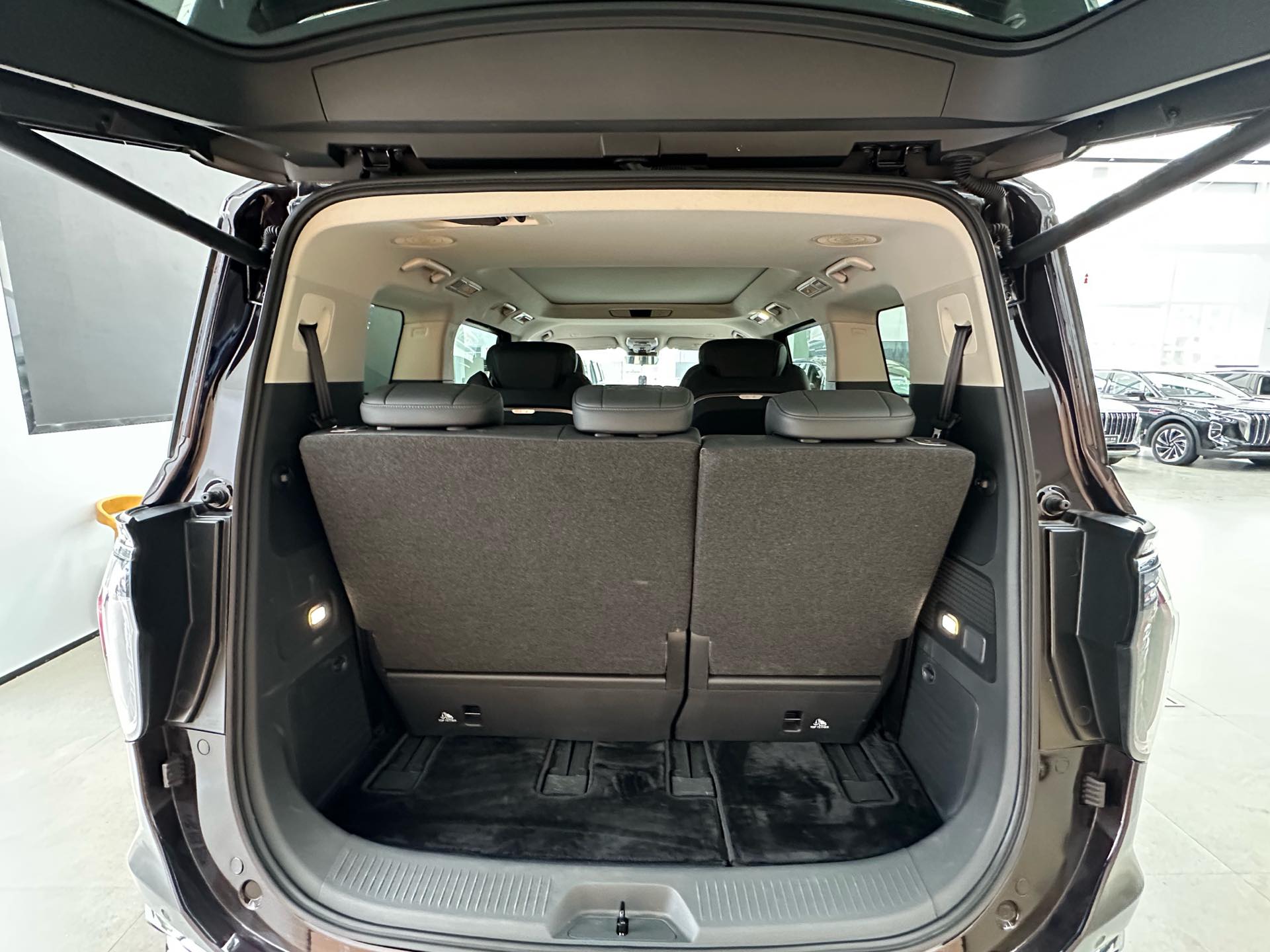 Hongqi HQ9 PHEV 2.0T 4WD Business Edition 2024