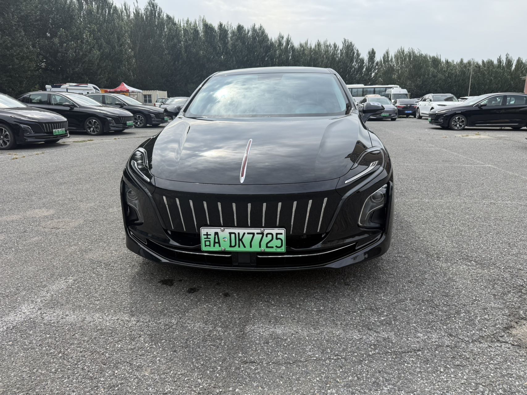 Hongqi E-QM5 Plus 2023