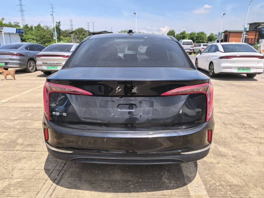 Hongqi E-QM5 2021 Charging Qixiang Edition