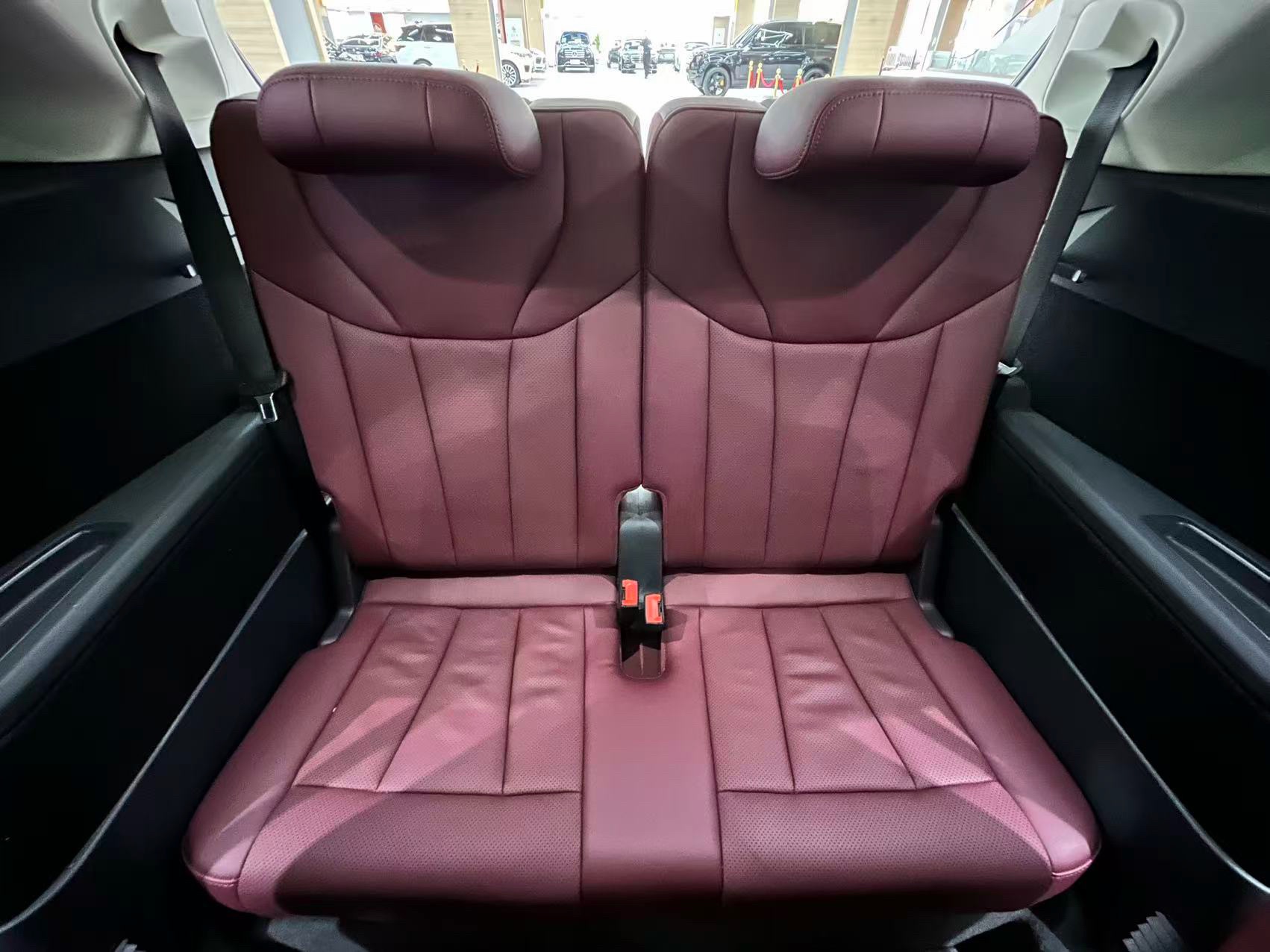 Hongqi E-HS9 2022 690km Flagship 6-Seater