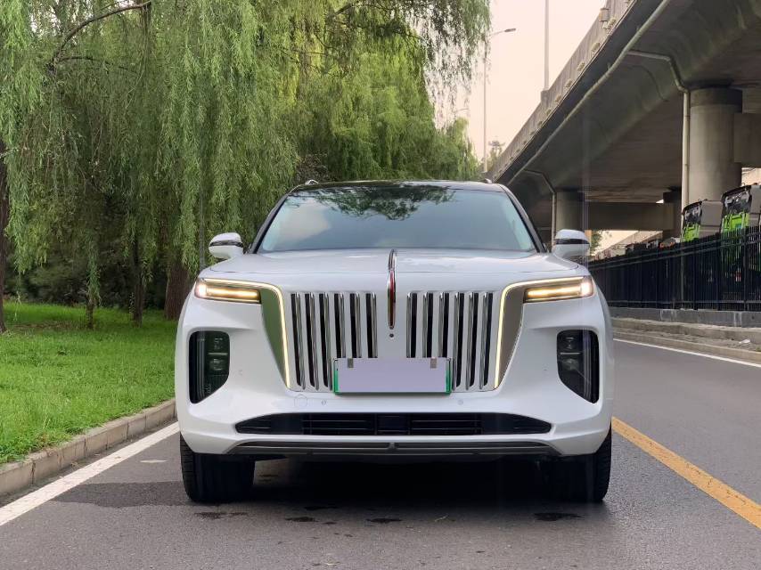 红旗 2022款 E-HS9 690km 旗享版6座