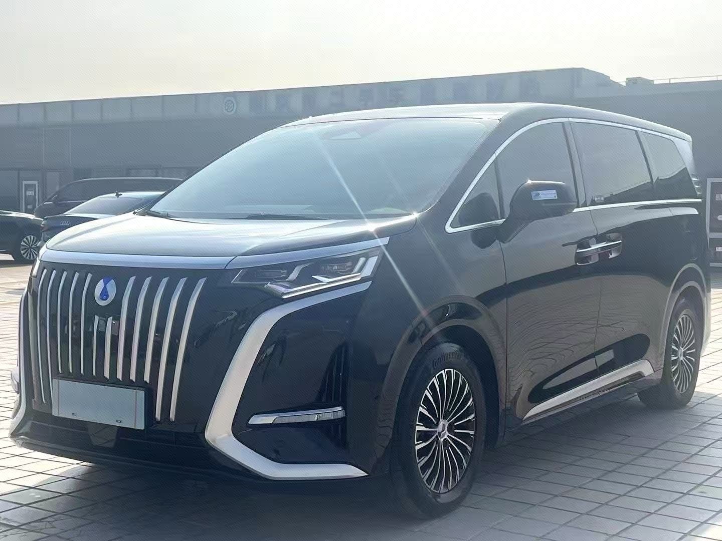 Denza 2025 Denza D9 EV FWD Premium Voyage