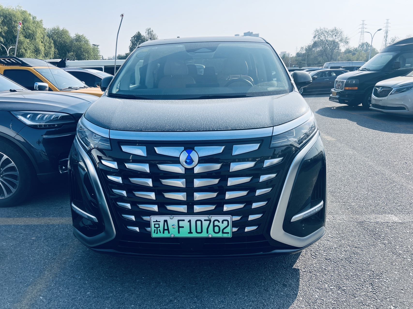 Denza 2024 Denza D9 DM-i 1.5T CVT 970 Luxury