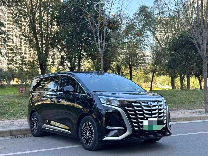 Denza 2025 Denza D9 DM-i 1.5T CVT Smart Driving 1020 AWD Premium