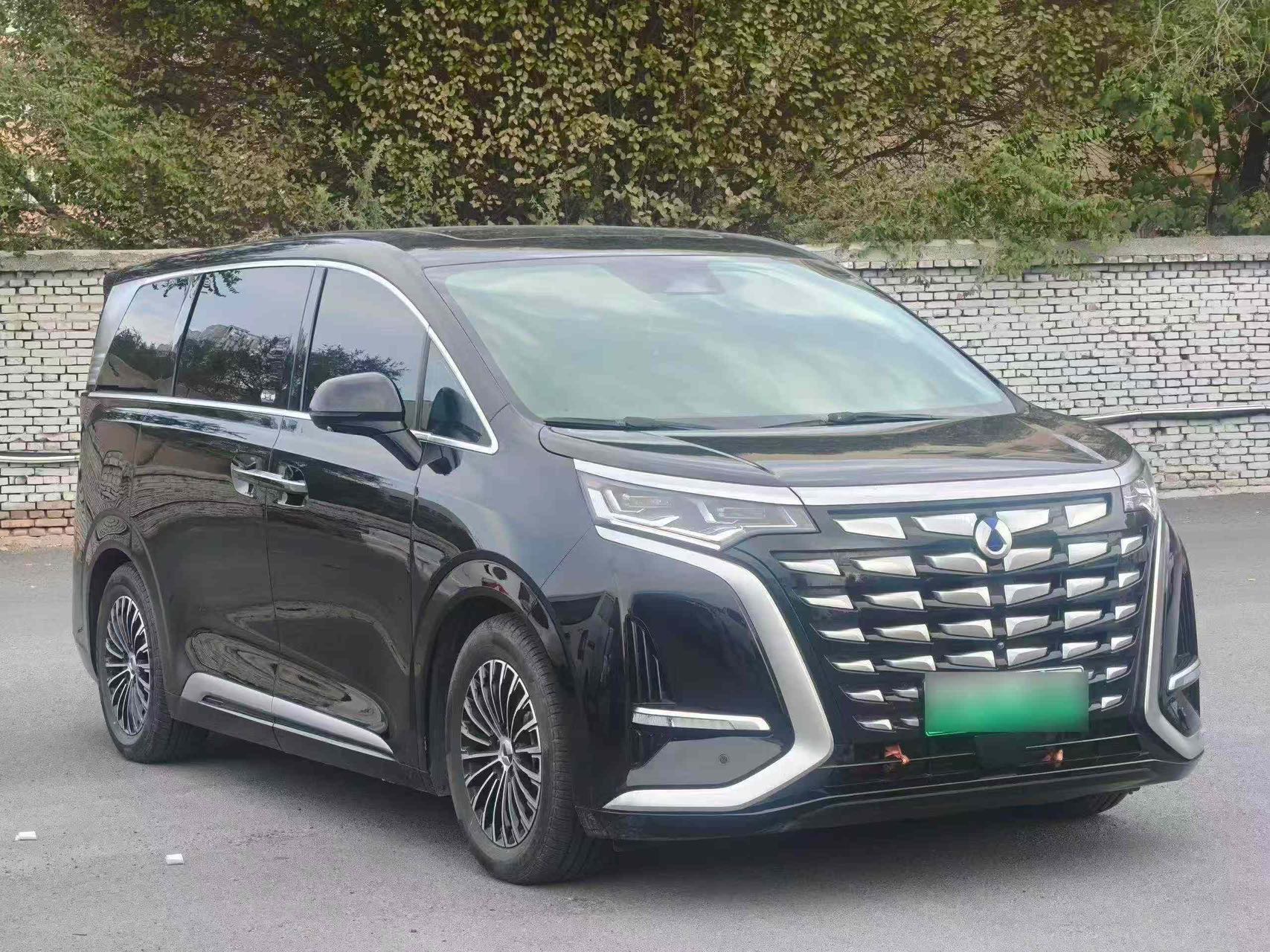 Denza 2024 Denza D9 DM-i 1.5T CVT 970 Luxury