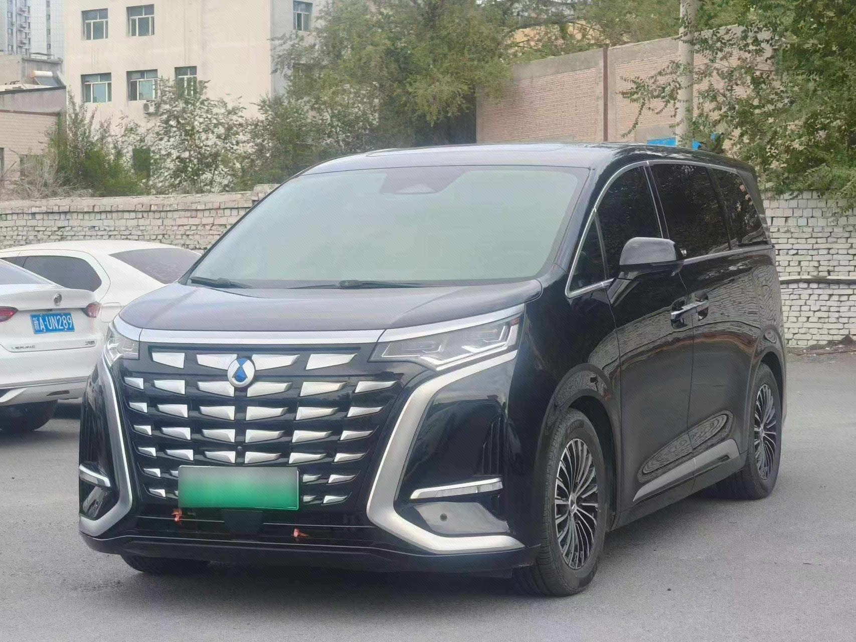 Denza 2024 Denza D9 DM-i 1.5T CVT 970 Luxury