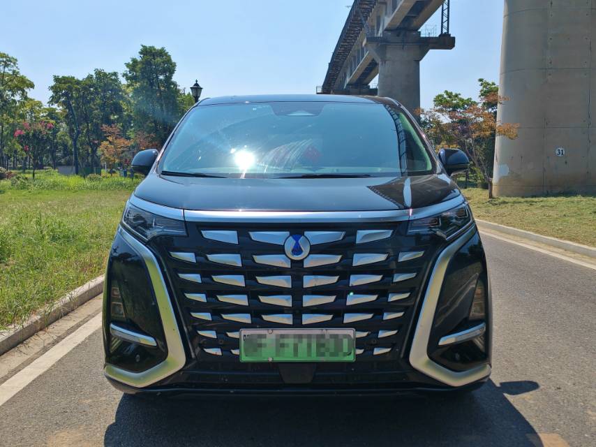Denza 2024 Denza D9 DM-i 1.5T CVT 980 AWD Premium