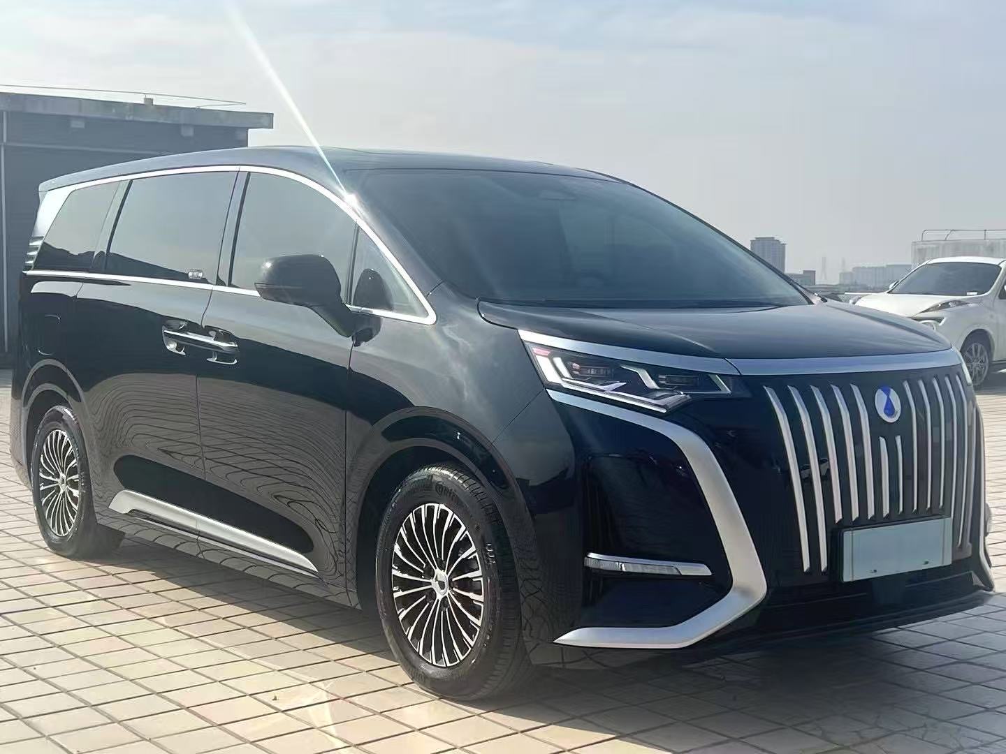 Denza 2025 Denza D9 EV FWD Premium Voyage