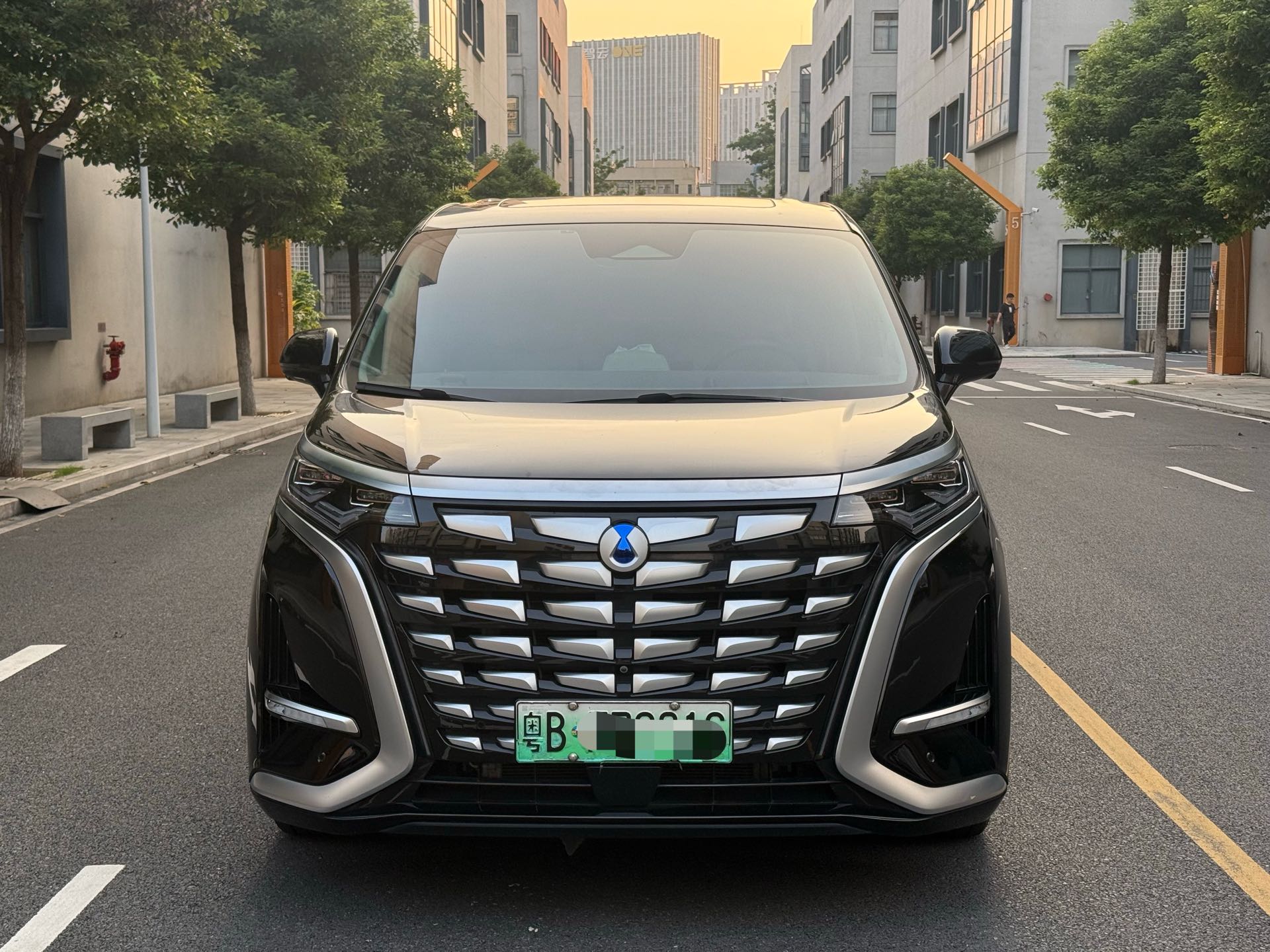 Denza 2022 Denza D9 DM-i 1.5T CVT 970 AWD Flagship