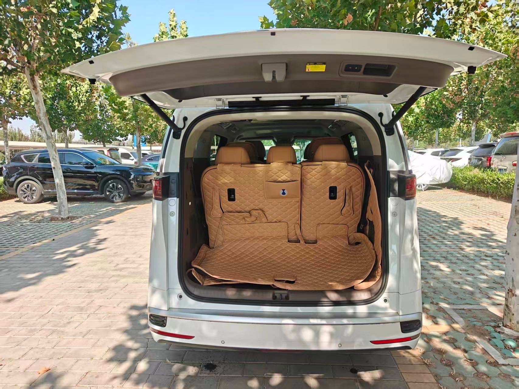 Denza 2022 Denza D9 DM-i 1.5T CVT 970 AWD Premium