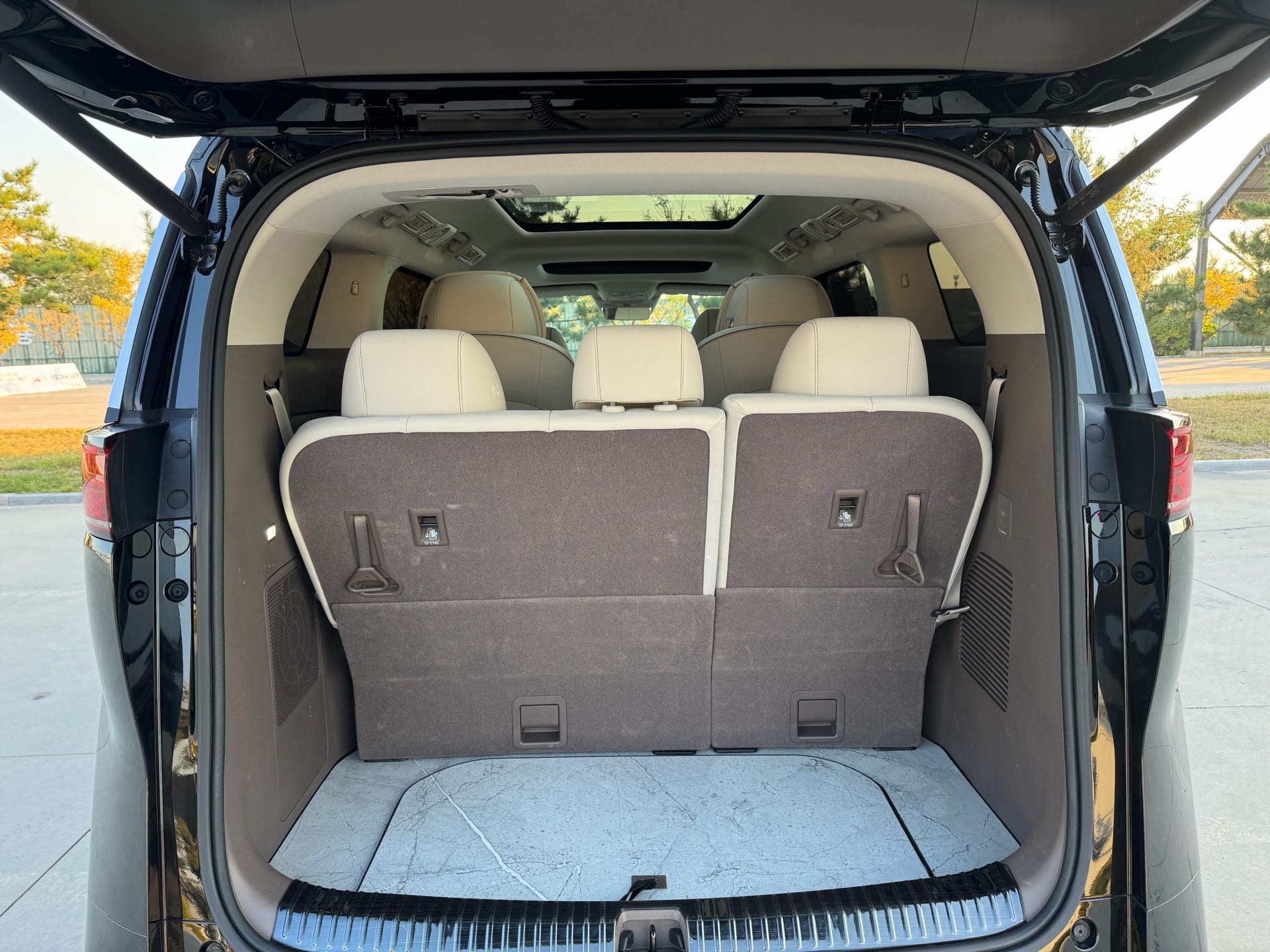 Denza 2022 Denza D9 DM-i 1.5T CVT 970 AWD Premium