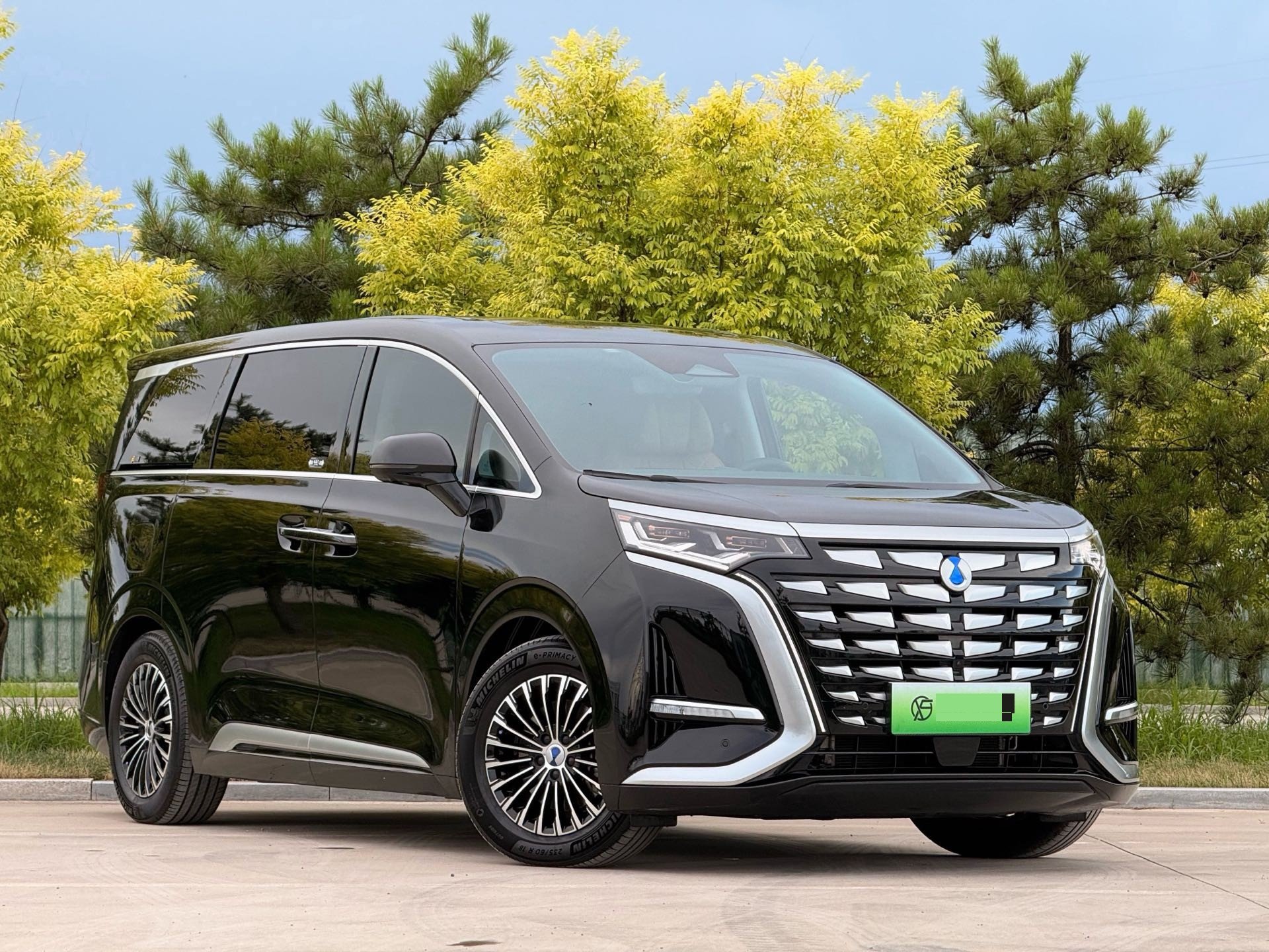 Denza 2022 Denza D9 DM-i 1.5T CVT 970 AWD Premium