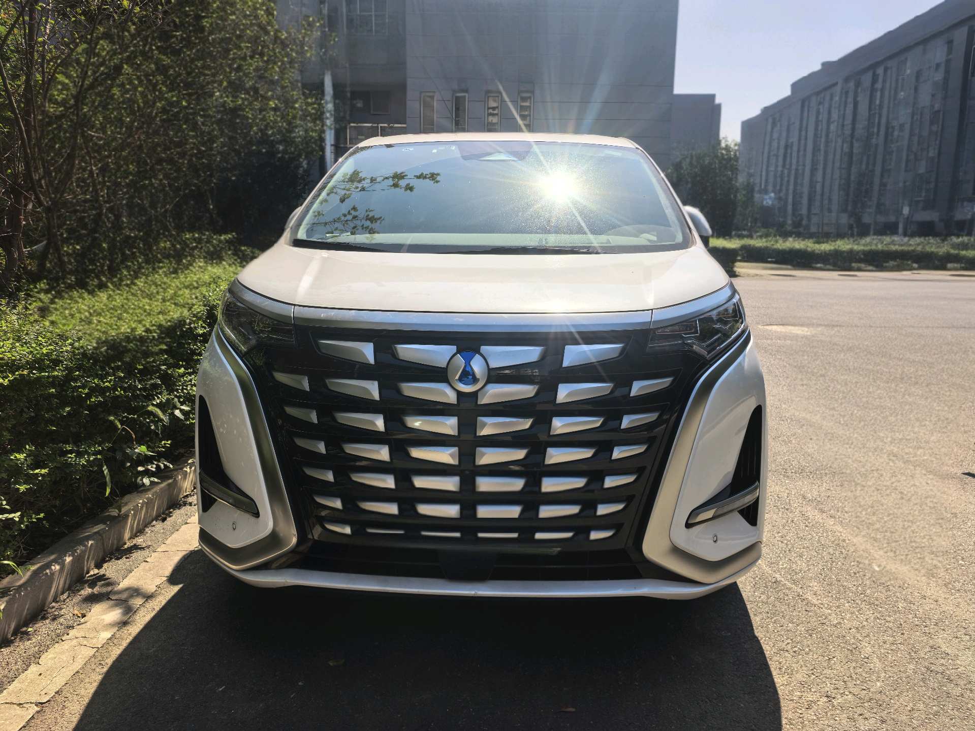 Denza 2022 Denza D9 DM-i 1.5T CVT 970 AWD Premium