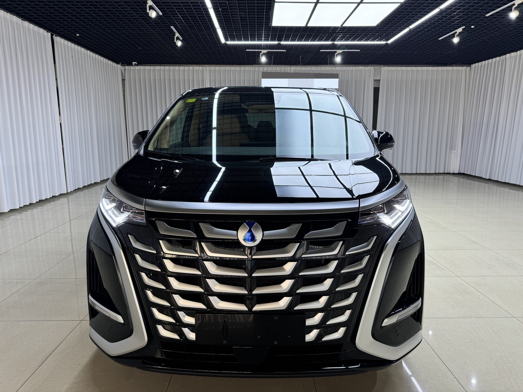 Denza 2025 Denza D9 DM-i 1.5T CVT FWD Premium Voyage