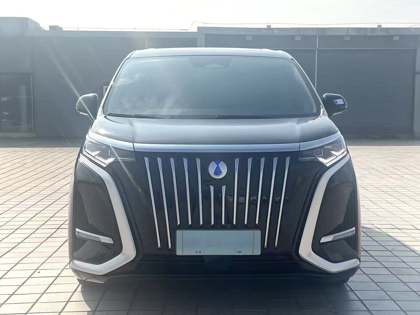 Denza 2025 Denza D9 EV FWD Premium Voyage