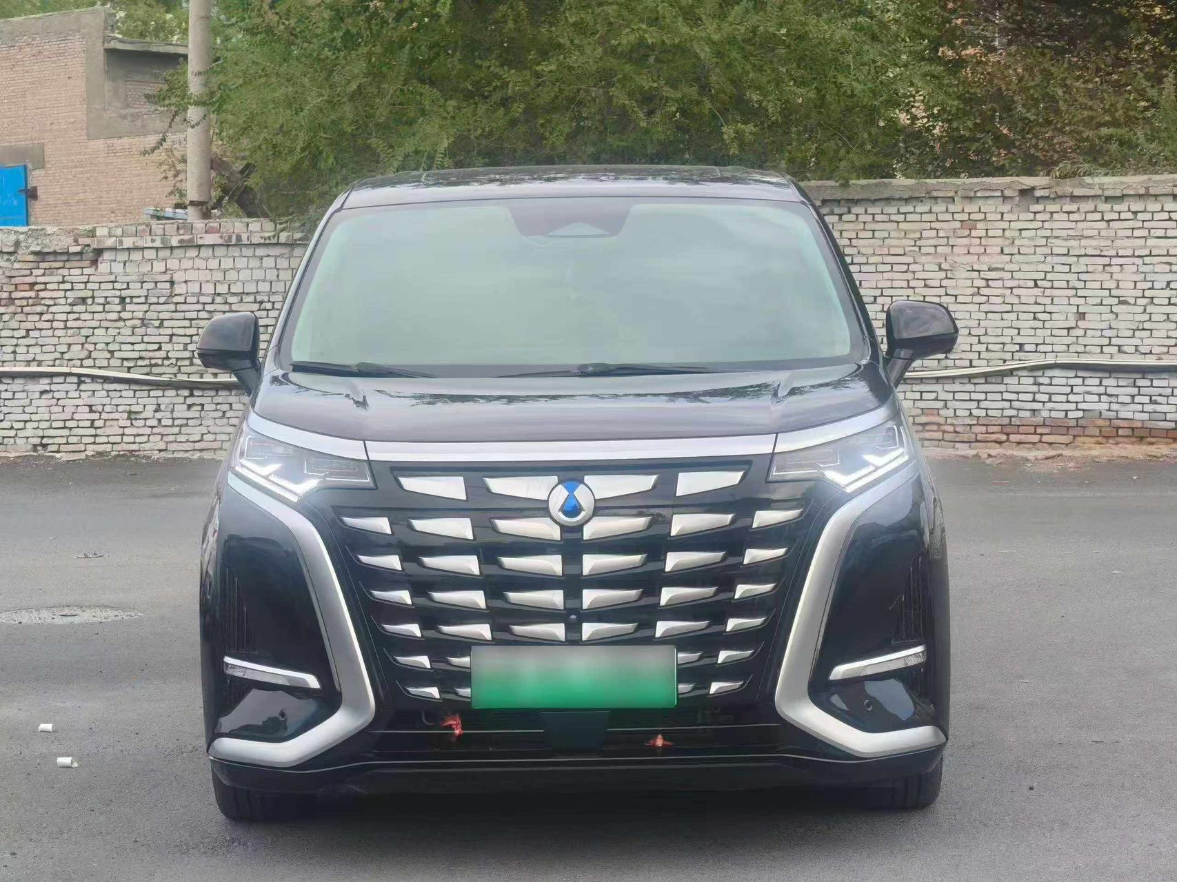 Denza 2024 Denza D9 DM-i 1.5T CVT 970 Luxury