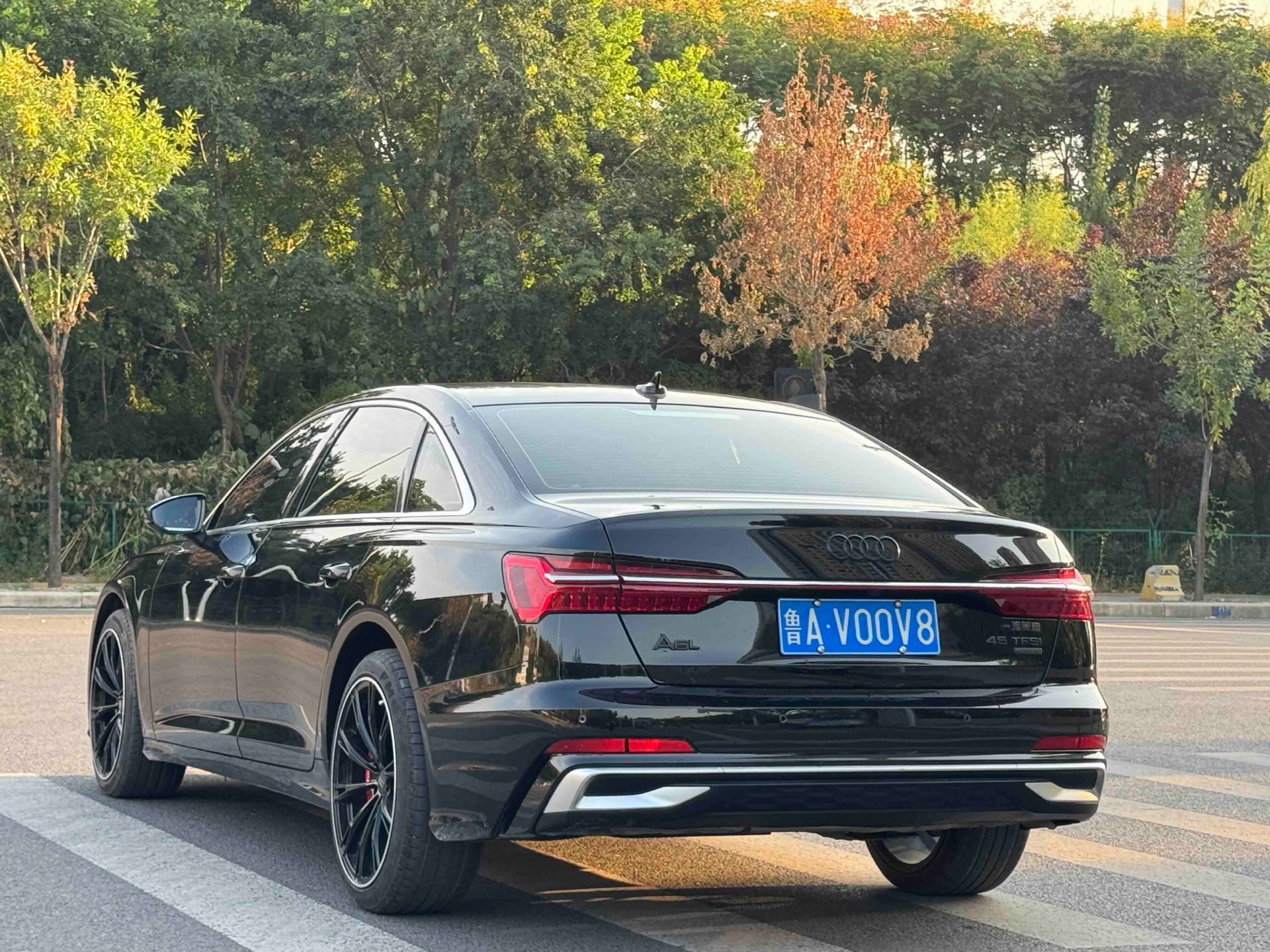 Audi A6L 2023 40 TFSI Luxury Dynamic